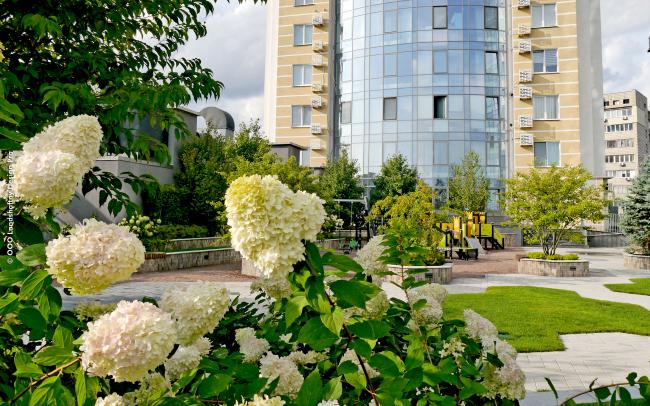 Roof garden with lawn, walkways and raised plant beds